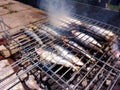 Mediterranean grilled sardines on the grill