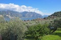Mediterranean landscape italy with view to garda lake and malcesine