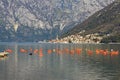 Mediterranean landscape. Montenegro, Bay of Kotor. Longline culture mussel farm Royalty Free Stock Photo