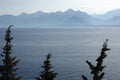 Mediterranean landscape with calm sea and mountains silhouettes in light light haze on skyline with cypresses on front