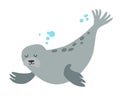 Mediterranean monk seal icon vector illustration