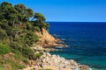 Mediterranean nature. Seascape on sunny clear summer day. Spanish beach. Green pine forest on rocks near sea coastline Rocky beach