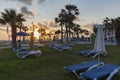 Mediterranean palm beach with empty sunbeds at sunset.