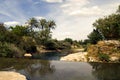 Mediterranean with palm trees pond and sun