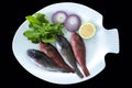 Mediterranean parrotfish with rockets leaves served on white plate