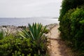 Mediterranean path on the coast with palm trees access to beach sea in coast Juan-les-Pins in Antibes France