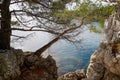 Mediterranean pine coastal with trees access to beach sea in coast Juan-les-Pins in Antibes France