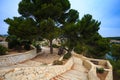 Mediterranean pines in a city park in Moraira overlooking Playa El Portet beach in Mediterranean Alicante, Spain Royalty Free Stock Photo