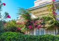 Mediterranean plants in the garden and beautiful pink and white begonville flowers on traditional summer house in Bodrum, Turkey