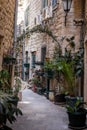 Mediterranean plants in a narrow historical street of Kotor old town, Montenegro. Royalty Free Stock Photo