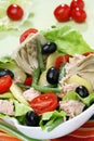 Mediterranean salad Royalty Free Stock Photo