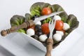 Mediterranean Salad Royalty Free Stock Photo