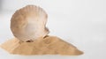 Mediterranean scallop, Pecten jacobaeus seashell and sand Royalty Free Stock Photo