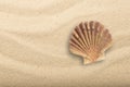 Top view of Mediterranean scallop, Pecten jacobaeus seashell on sand Royalty Free Stock Photo