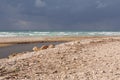 Mediterranean sea cost of Israel, Nahal Alexander between Chadera and Netanya, beach in the winter