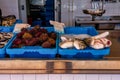 Mediterranean sea fish in Xabia Javea fish market of Spain Royalty Free Stock Photo