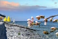 Seascape Blue Sea Green Water On Horizon Beach Cafe  Blue Sky  , Sea, Pink Flowers But Branch ,white Sand On Beach Summer  Exotic