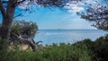 The mediterranean sea from the Lerins Island off the coast of Cannes