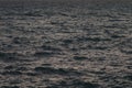 mediterranean sea water surface background with sunset light Royalty Free Stock Photo