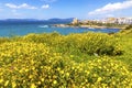 Mediterranean seacoast in Alghero city, Sardinia, Italy Royalty Free Stock Photo