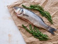 One fresh seabass fish with rosemary on craft paper on white background, top view with copy space. Mediterranean seafood concept