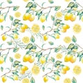 Mediterranean seamless pattern with olive, lemon branch Royalty Free Stock Photo
