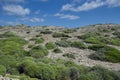 Mediterranean shrublands in Cape of Favaritx