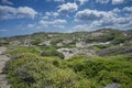 Mediterranean shrublands in Cape of Favaritx