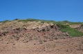 Mediterranean shrublands next to Cala Morts