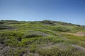 Mediterranean shrublands next to Cala Morts