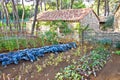 Mediterranean stone village garden vegetables Royalty Free Stock Photo