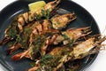 mediterranean style marinated grilled king tiger prawns or shrimps in a plate with white background