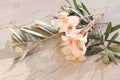 Mediterranean summer floral composition. Closeup of apricot oleander blossom, flowers and green olive tree branches