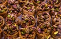 Mediterranean sweet- fried baklava with nuts
