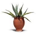 Mediterranean terracotta cactus pot Royalty Free Stock Photo