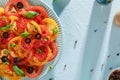 Mediterranean tomato salad in the plate on blue pastel background.