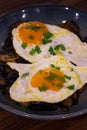 Mediterranean Typical Snack, Fried Eggs with Mushrooms, Braga.