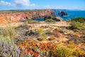 Mediterranean vegetation at Costa Vicentina, west algarve portugal Royalty Free Stock Photo