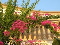 Mediterranean villa, balcony full of plants and flowers Royalty Free Stock Photo