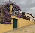 Mediterranean villa with flowering Wisteria