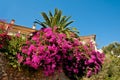 Mediterranean village Royalty Free Stock Photo