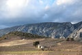 Mediterranean vineyard and isolated cabin in Pyrenees orientales Royalty Free Stock Photo