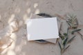 Mediterranean wedding stationery. Birthday mock-up. Blank greeting card, envelope on silver plate. Dappled light. Olive