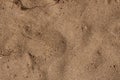Mediterranenan Sand Texture #4 Royalty Free Stock Photo