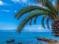 Mediterranian Sea View with Palms Leaves and boats