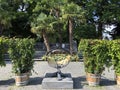 Mediterrannean Terrace or Mediterran-Terrassen Flower Island Mainau on the Lake Constance or Die Blumeninsel im Bodensee