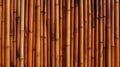 Medium Brown Bamboo: A Sustainable And Stylish Choice Royalty Free Stock Photo