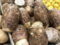 Medium close up of taro root crops