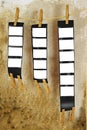 Medium format film strips, Royalty Free Stock Photo