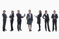 Medium group of business people in a row, portrait, full length, studio shot